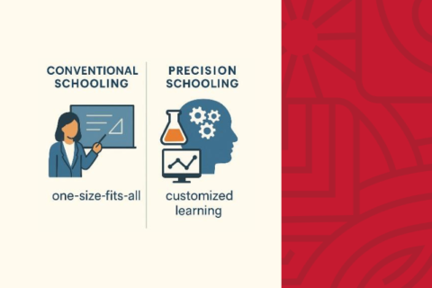 why precision schooling_revised