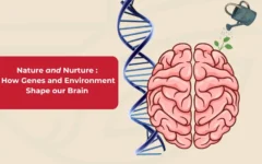 Nature-and-Nurture-How-Genes-and-Environment-Shape-our-Brain