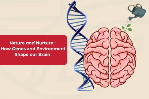 Nature-and-Nurture-How-Genes-and-Environment-Shape-our-Brain