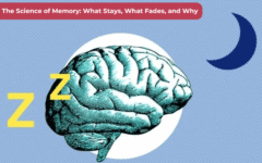 The Science of Memory What Stays, What Fades, and Why (1)