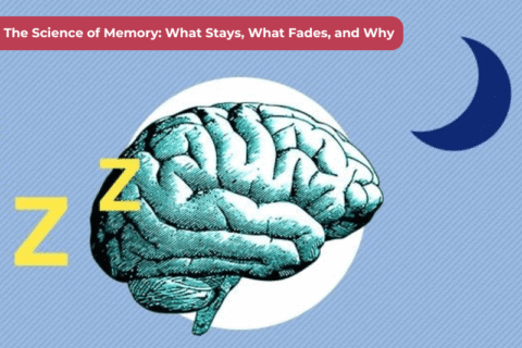 The Science of Memory What Stays, What Fades, and Why (1)