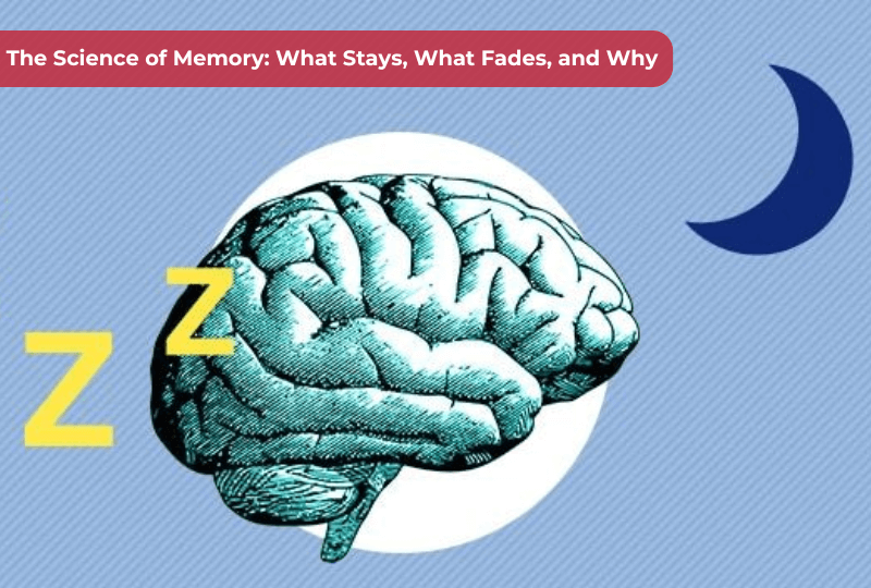 The Science of Memory What Stays, What Fades, and Why (1)